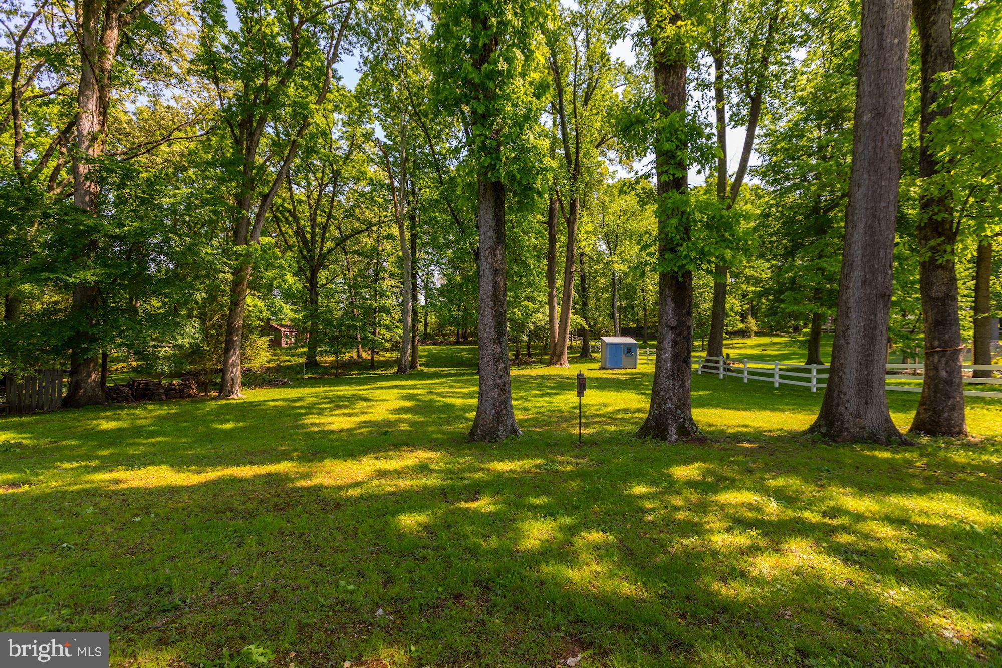 11511 Glen Road Potomac, MD 20854 - Photo 26 of 28 View from back patio and deck