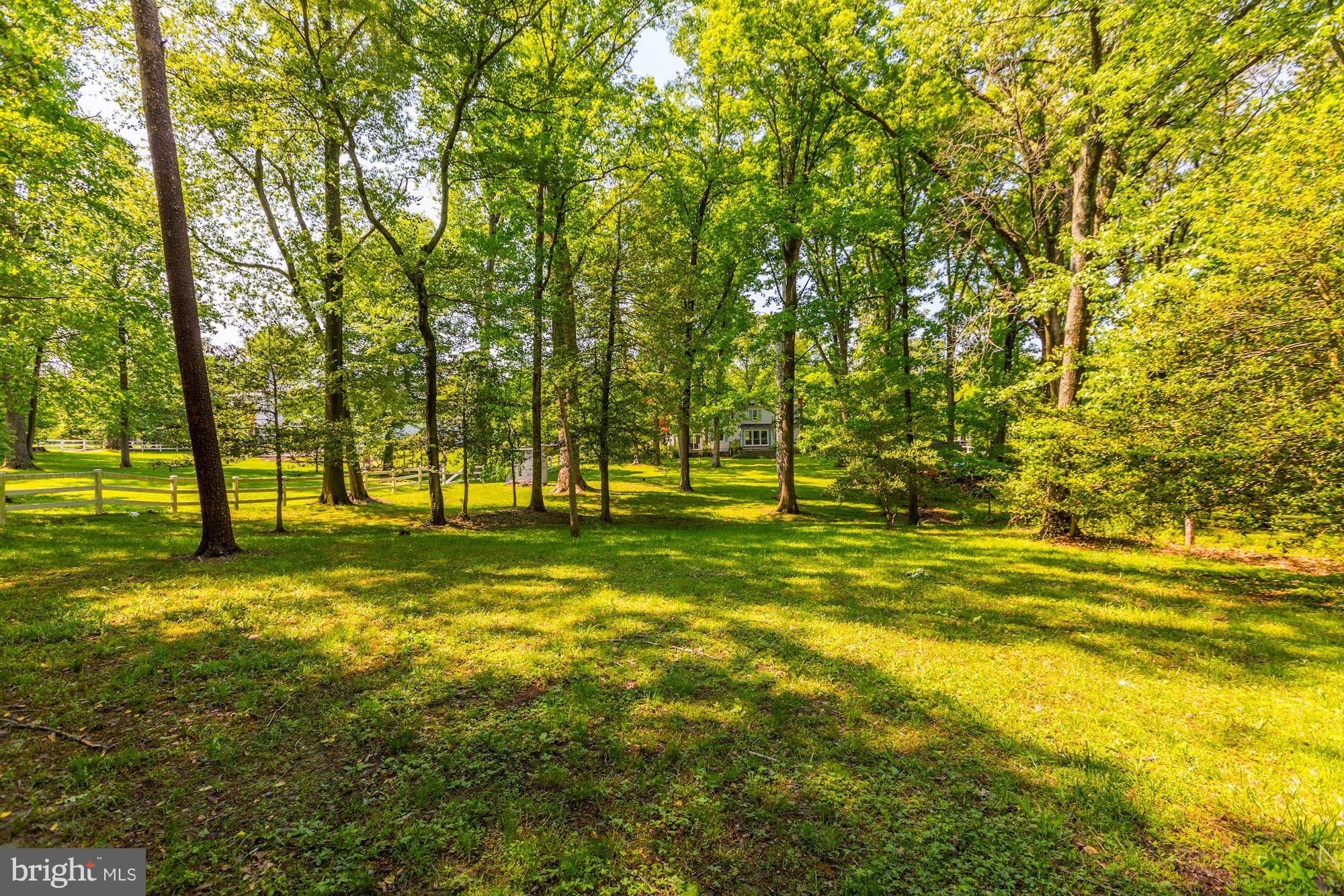 11511 Glen Road Potomac, MD 20854 - Photo 28 of 28 Backyard includes beautiful mature trees