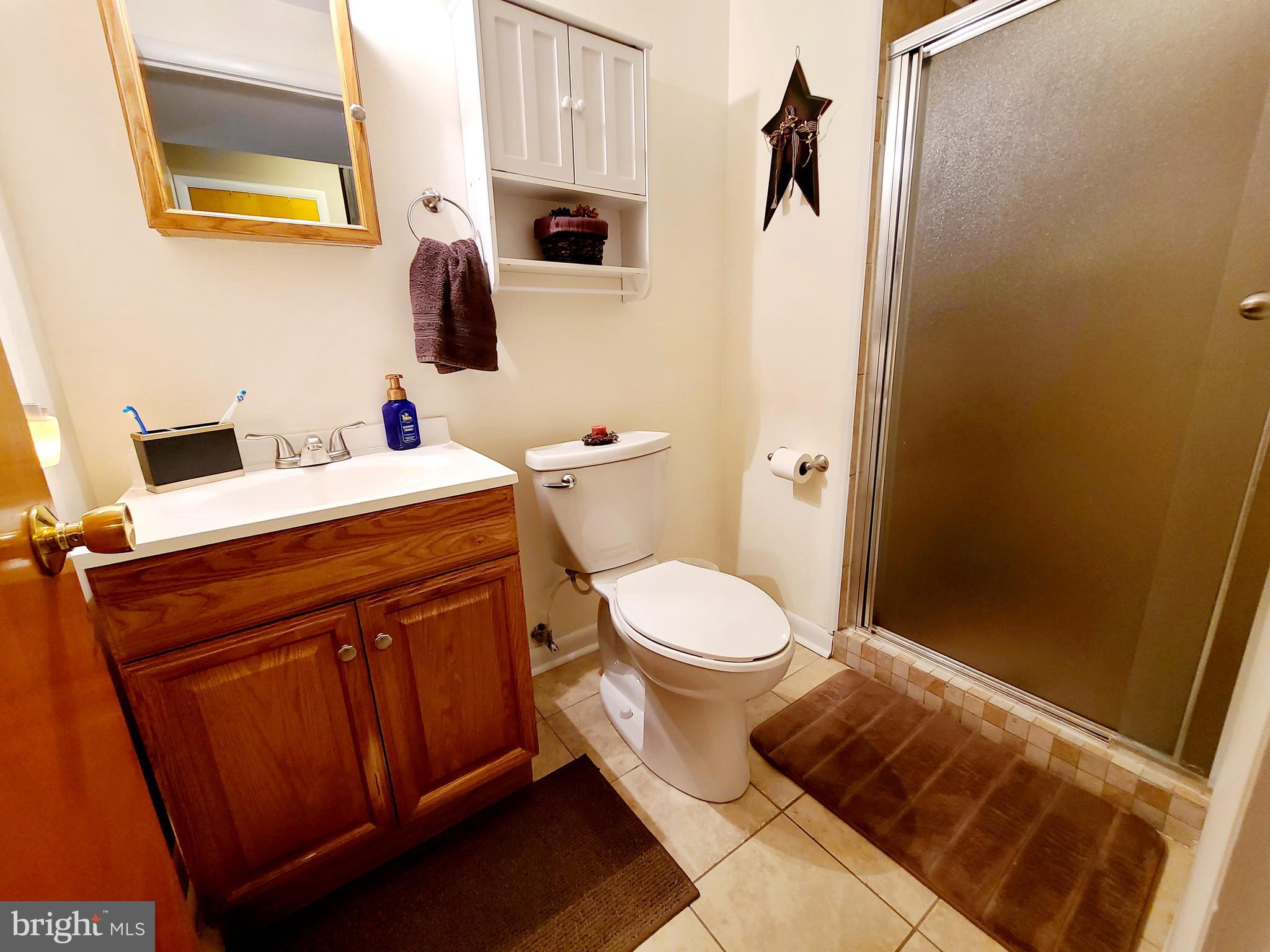 14803 Viewcrest Road Southwest Cumberland, MD 21502 - Photo 26 of 38 Lower level full bath with tiled shower