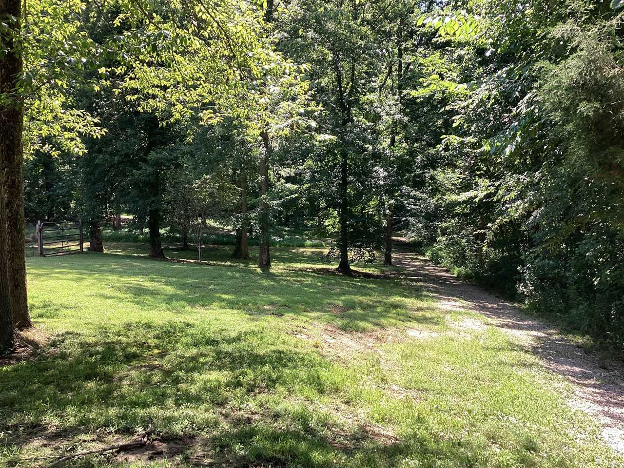 1727 Sharpes Garden Road Russellville, KY 42276 - Photo 8 of 18 Gallery Image 8