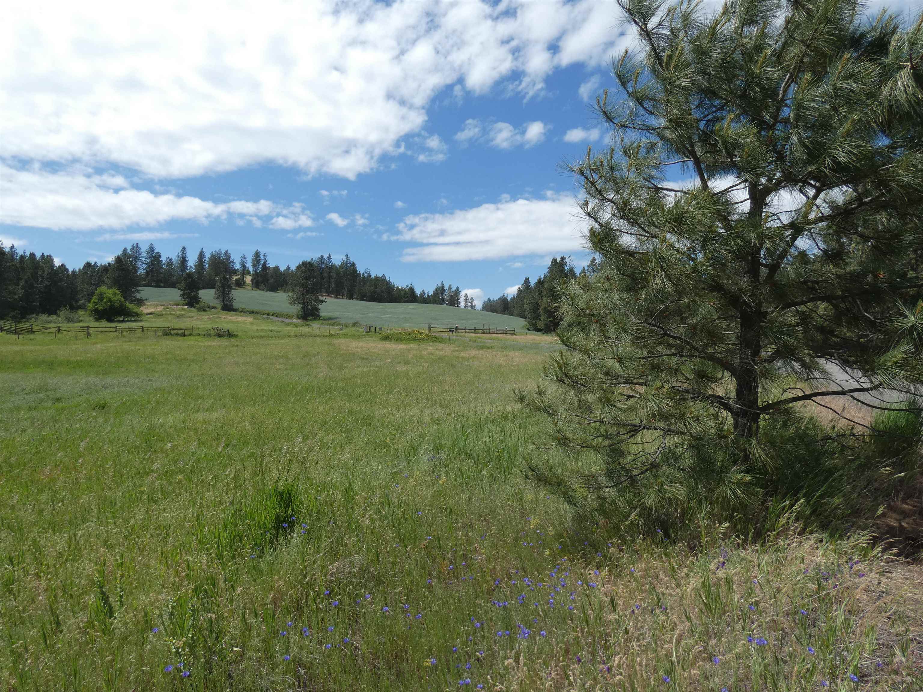 8309 West Jensen Road Cheney, WA 99004 - Photo 8 of 11