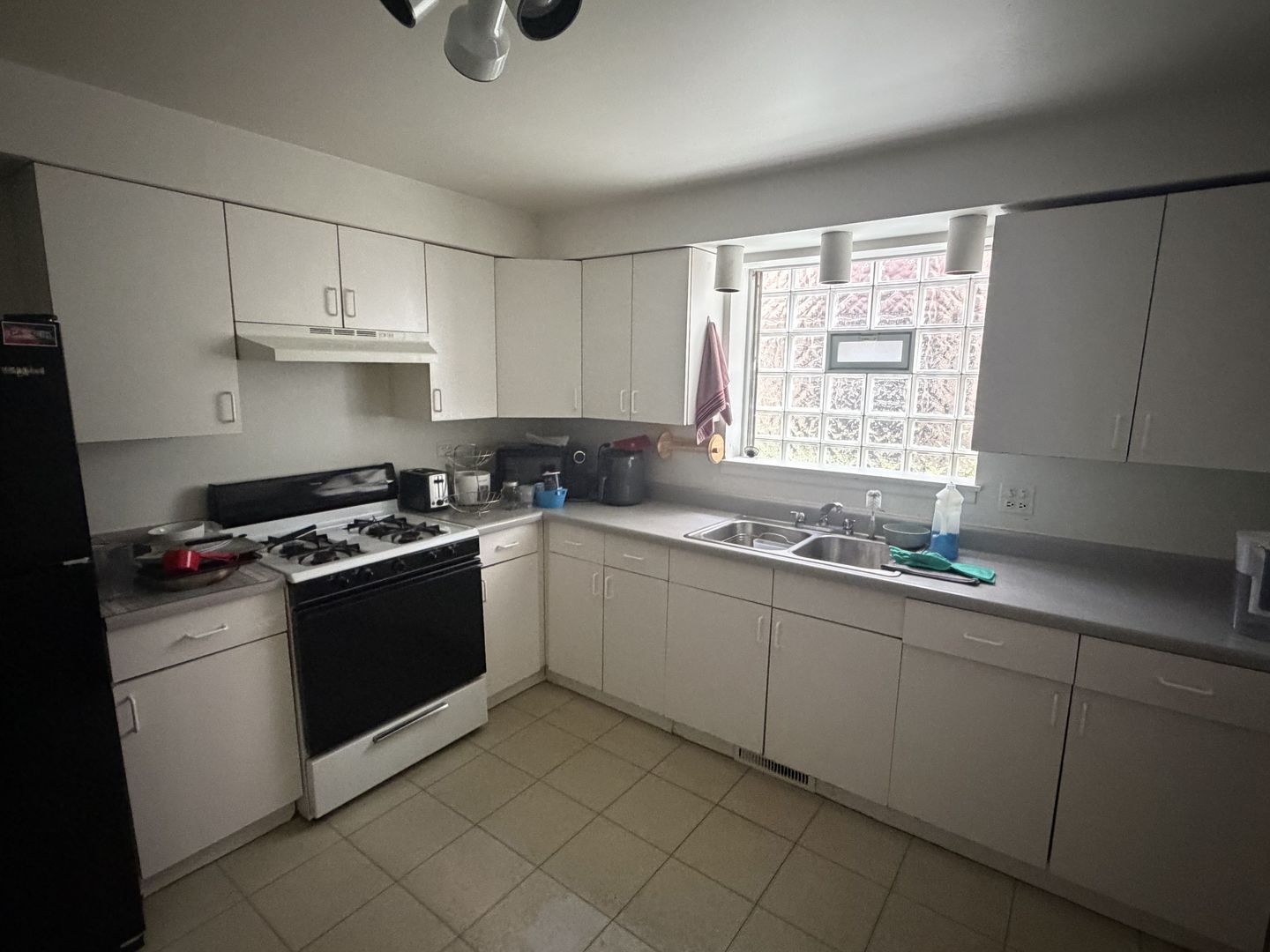 836 South Morgan Street Chicago, IL 60607 - Photo 9 of 18 Gallery Image 9