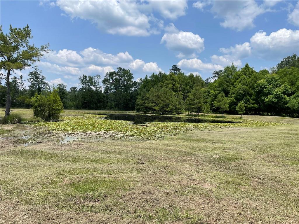 14301 Lee Road Franklinton, LA 70438 - Photo 13 of 13 Gallery Image 13