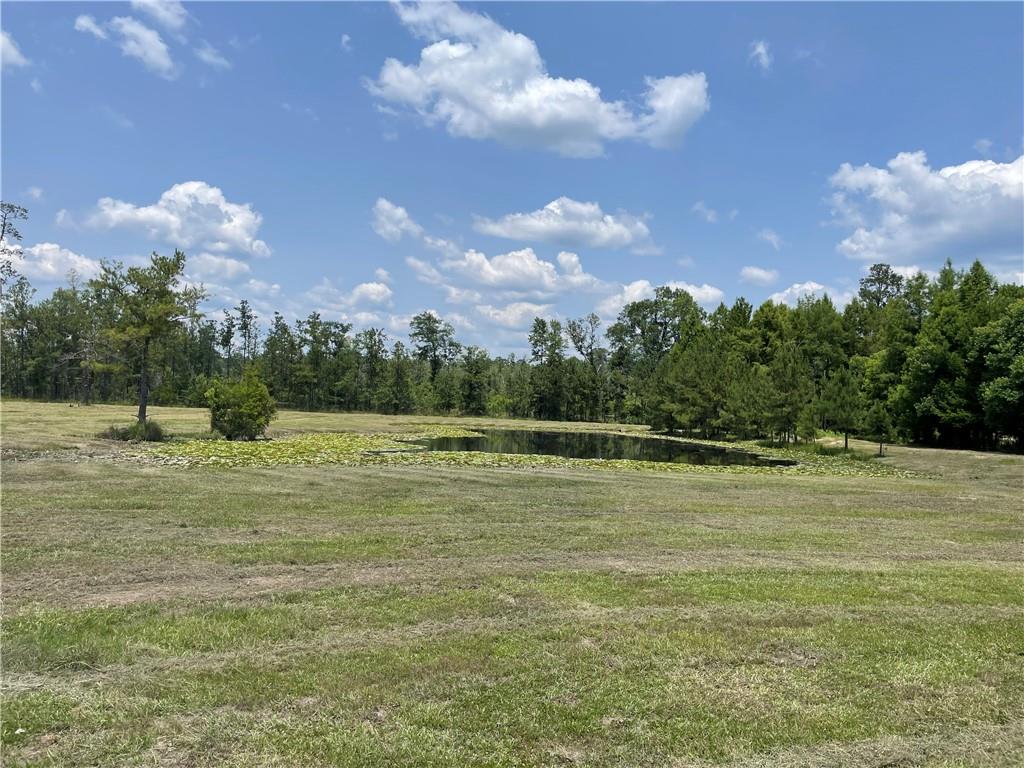 14301 Lee Road Franklinton, LA 70438 - Photo 4 of 13 Gallery Image 4