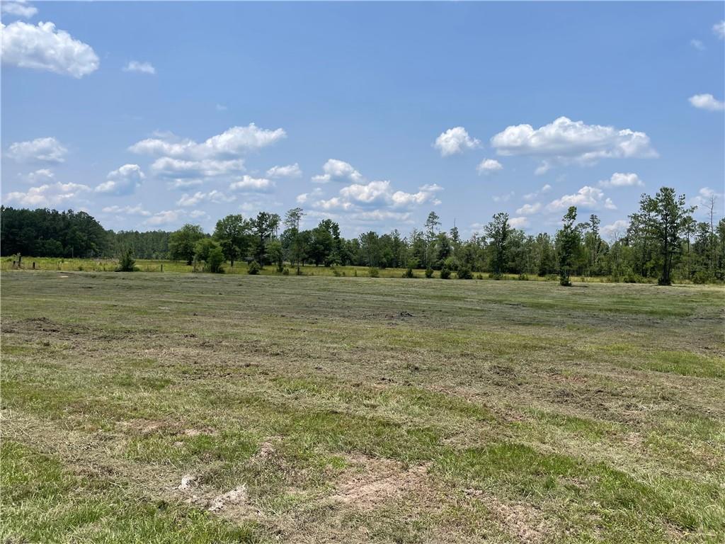 14301 Lee Road Franklinton, LA 70438 - Photo 5 of 13 Gallery Image 5
