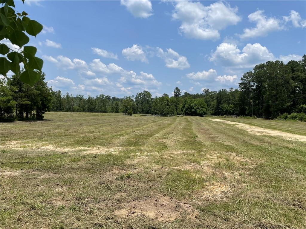 14301 Lee Road Franklinton, LA 70438 - Photo 6 of 13 Gallery Image 6
