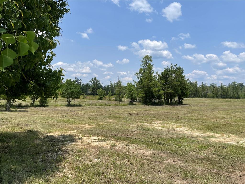 14301 Lee Road Franklinton, LA 70438 - Photo 7 of 13 Gallery Image 7