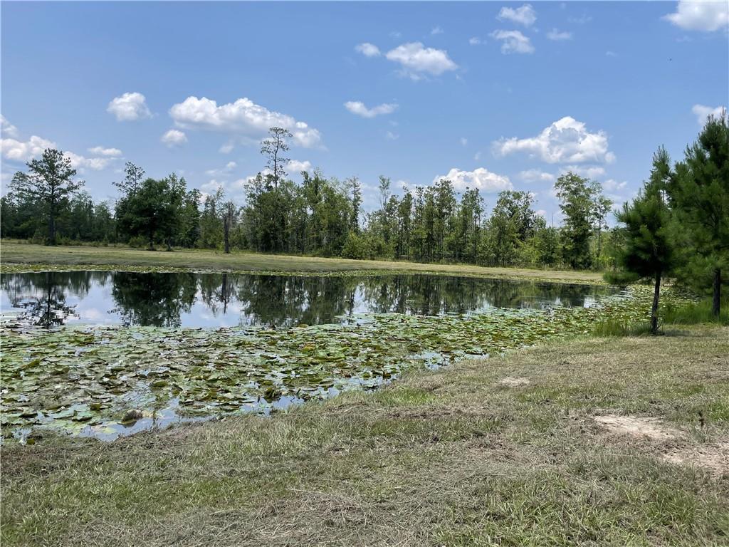 14301 Lee Road Franklinton, LA 70438 - Photo 9 of 13 Gallery Image 9
