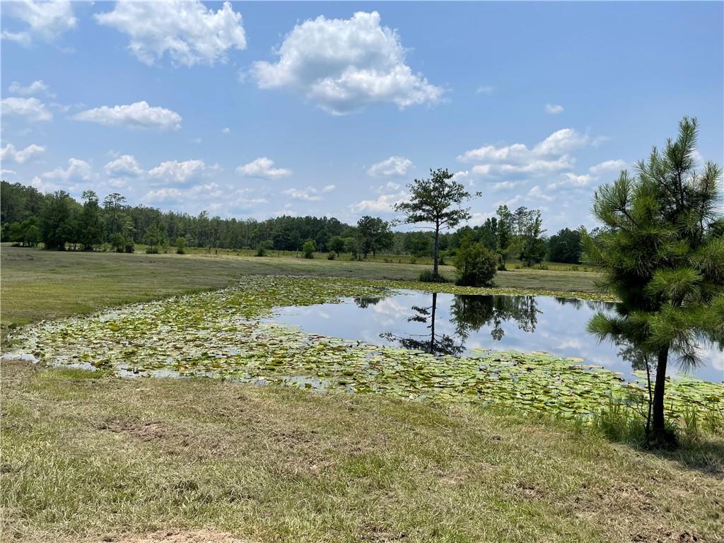 14301 Lee Road Franklinton, LA 70438 - Photo 10 of 13 Gallery Image 10
