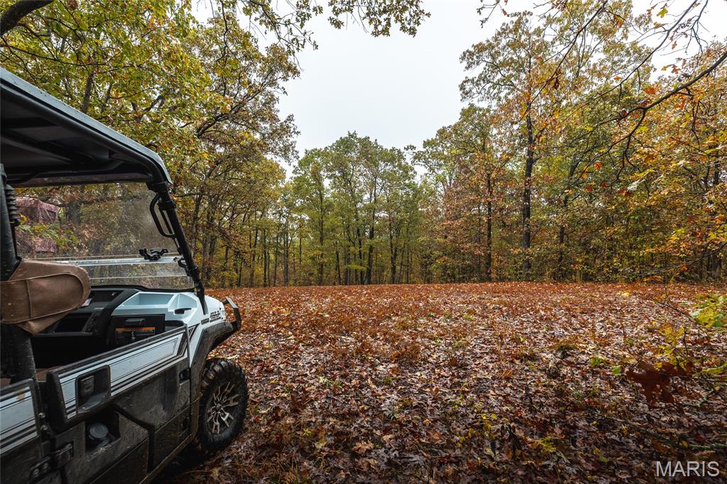 0 Lodge Road Potosi, MO 63664 - Photo 21 of 61