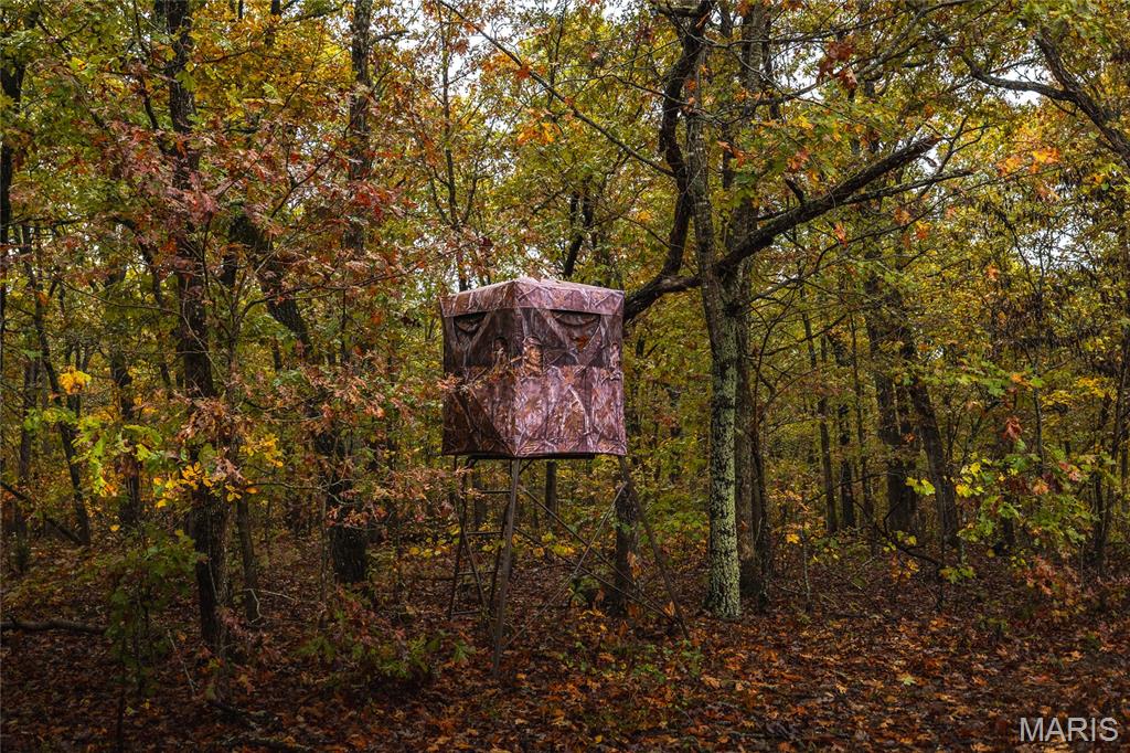 0 Lodge Road Potosi, MO 63664 - Photo 22 of 61