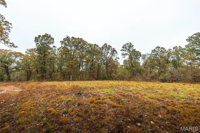 $895,000 | 0 Lodge Road, Potosi, MO 63664