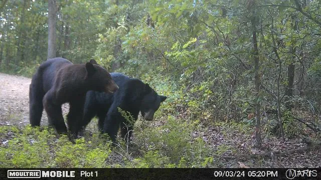 $895,000 | 0 Lodge Road, Potosi, MO 63664