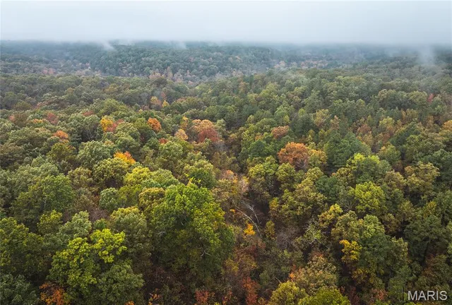 $895,000 | 0 Lodge Road, Potosi, MO 63664