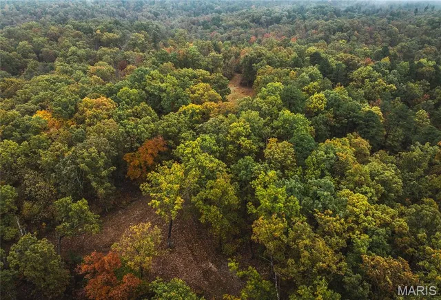 $895,000 | 0 Lodge Road, Potosi, MO 63664