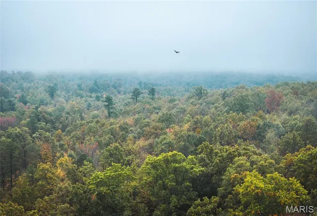 $895,000 | 0 Lodge Road, Potosi, MO 63664