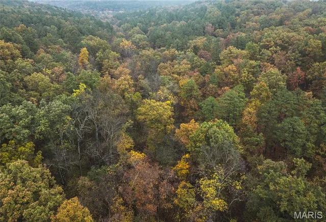 $895,000 | 0 Lodge Road, Potosi, MO 63664