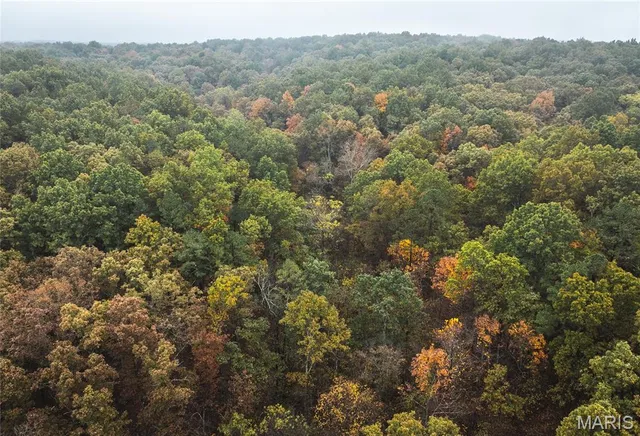 $895,000 | 0 Lodge Road, Potosi, MO 63664