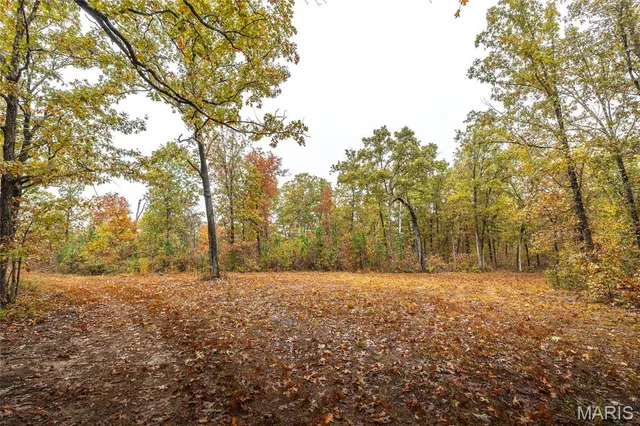 $895,000 | 0 Lodge Road, Potosi, MO 63664