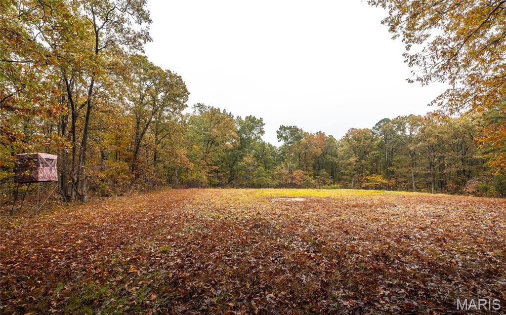 0 Lodge Road Potosi, MO 63664 - Photo 53 of 61