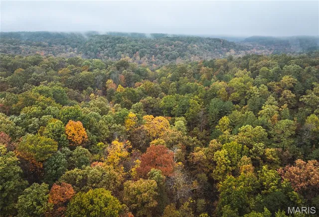 $895,000 | 0 Lodge Road, Potosi, MO 63664