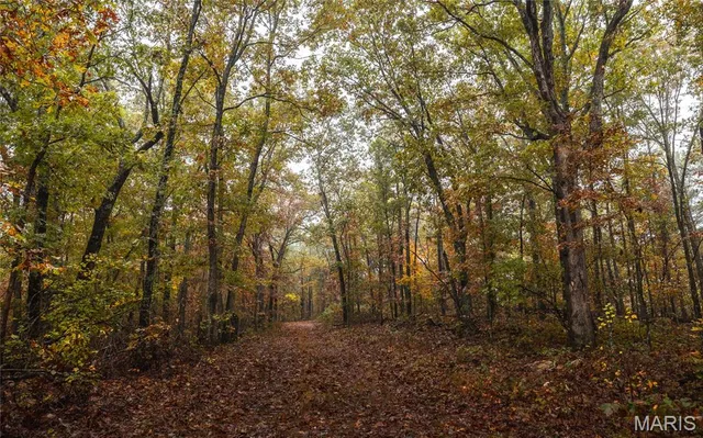 $895,000 | 0 Lodge Road, Potosi, MO 63664