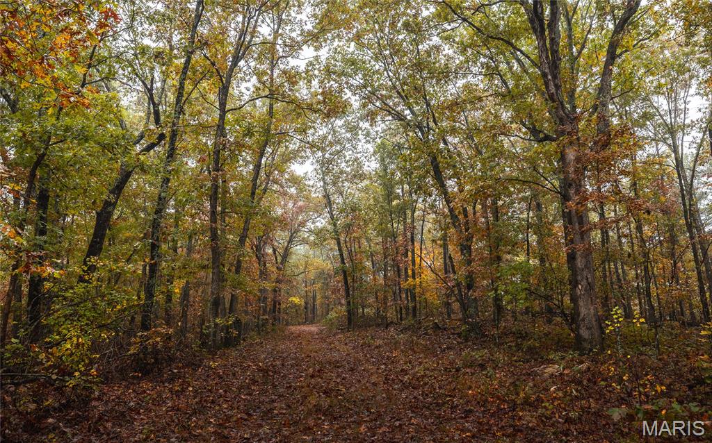 0 Lodge Road Potosi, MO 63664 - Photo 10 of 61