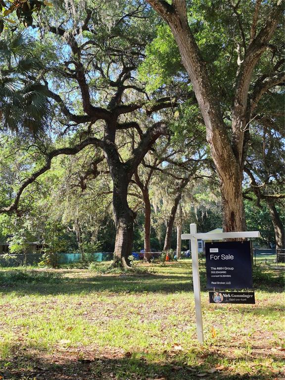 16615 Island Road Citra, FL 32113 - Photo 8 of 10