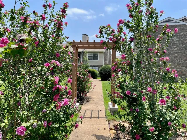 a picture of flowers