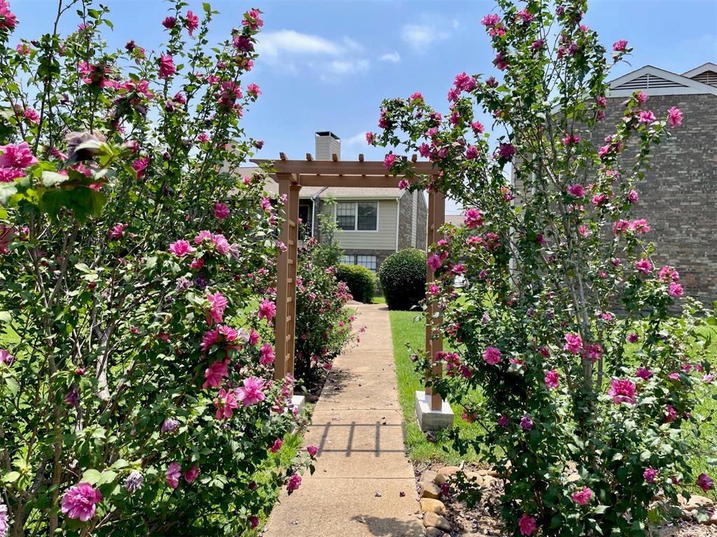 4748 Old Bent Tree Lane, Unit 1404 Dallas, TX 75287 - Photo 23 of 25 a picture of flowers