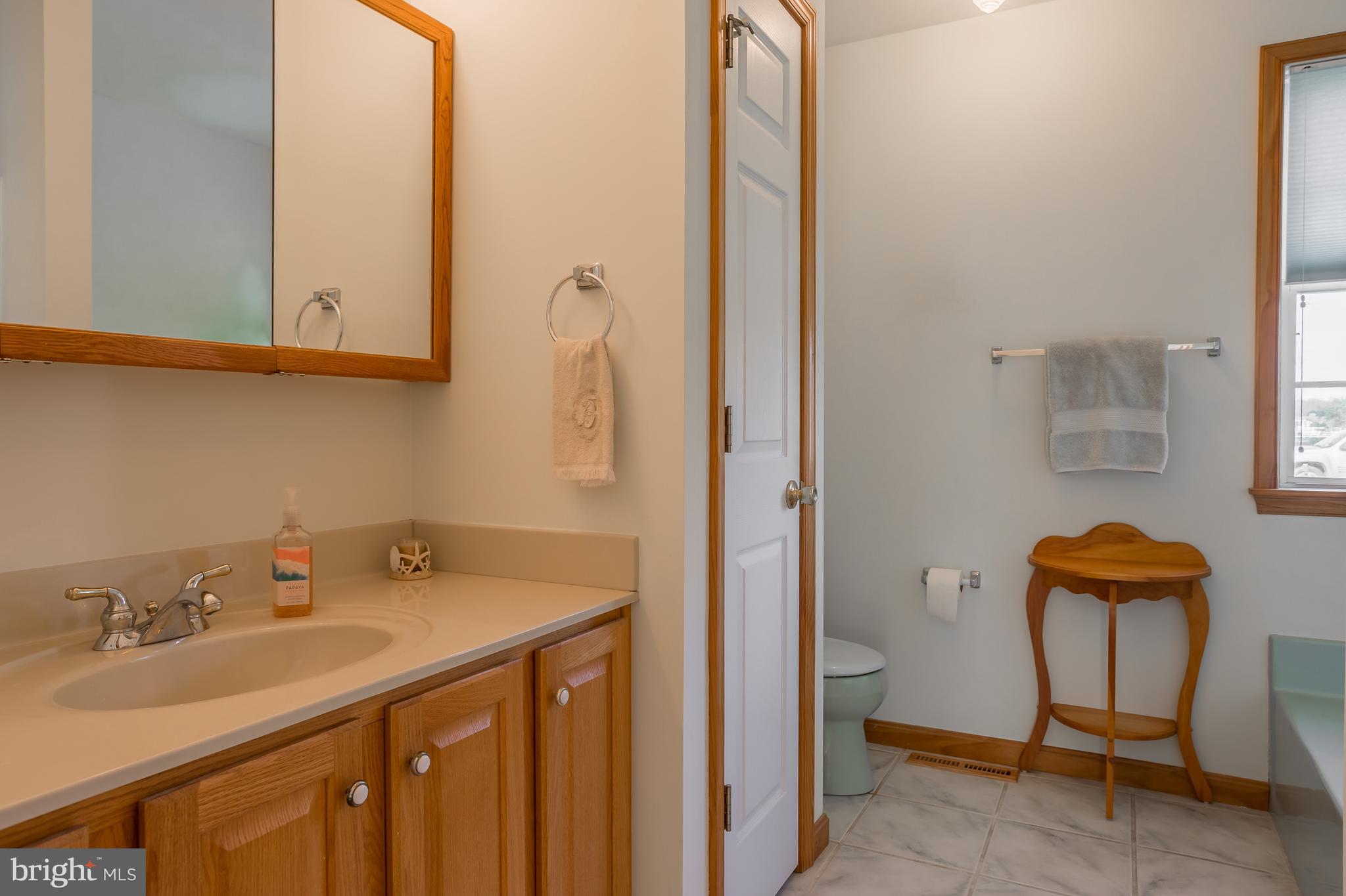 104 Falls Road Milton, DE 19968 - Photo 18 of 29 Master bathroom