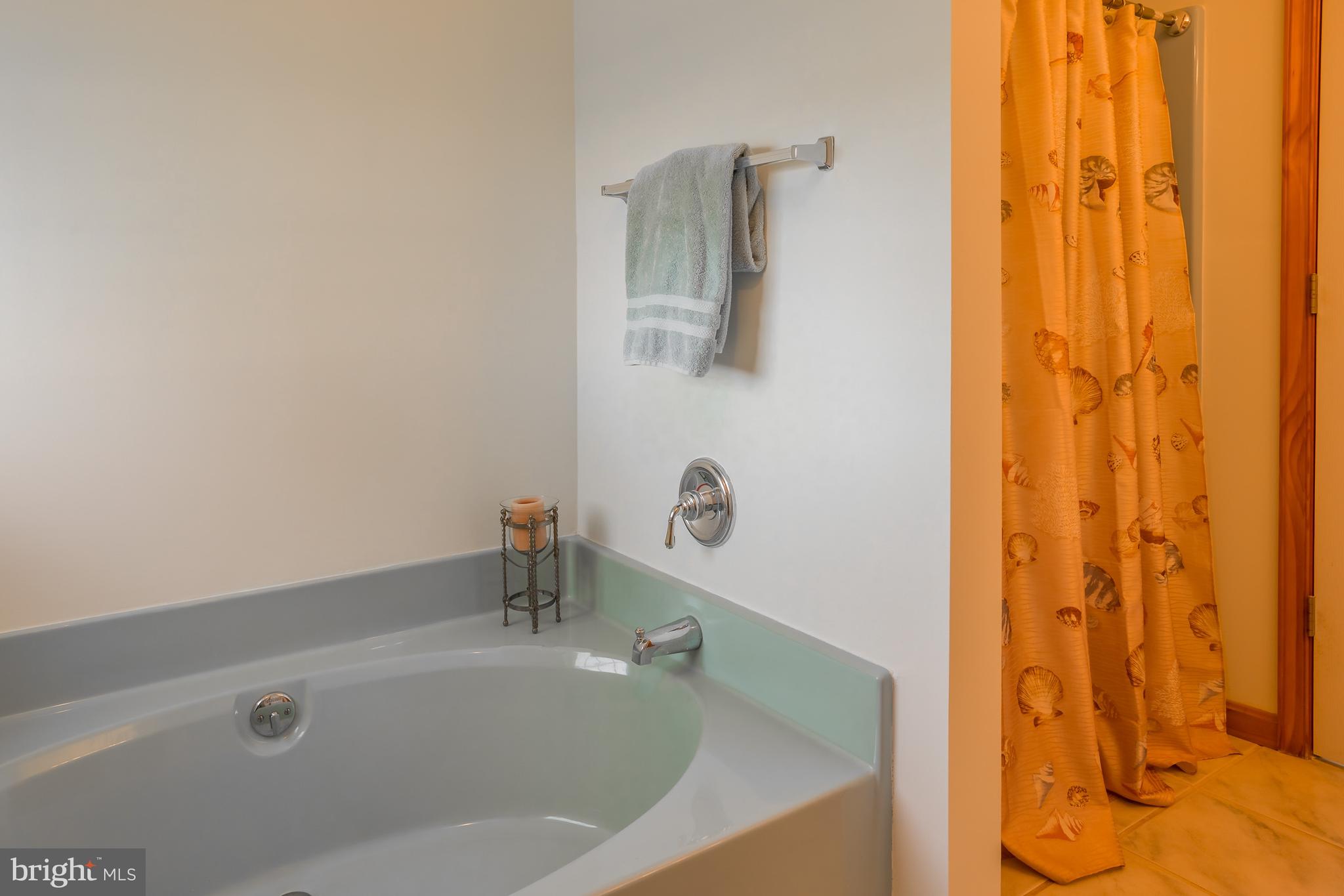 104 Falls Road Milton, DE 19968 - Photo 19 of 29 Master bath with soaker tub and stall shower.