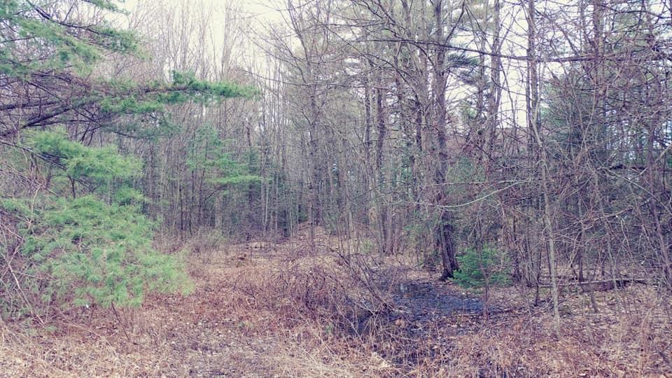 169 Gorham Road Scarborough, ME 04074 - Photo 4 of 8 169 Gorham Land