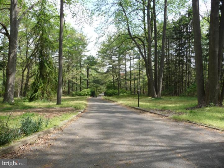 404 Creek Road Moorestown, NJ 08057 - Photo 18 of 21 Driveway
