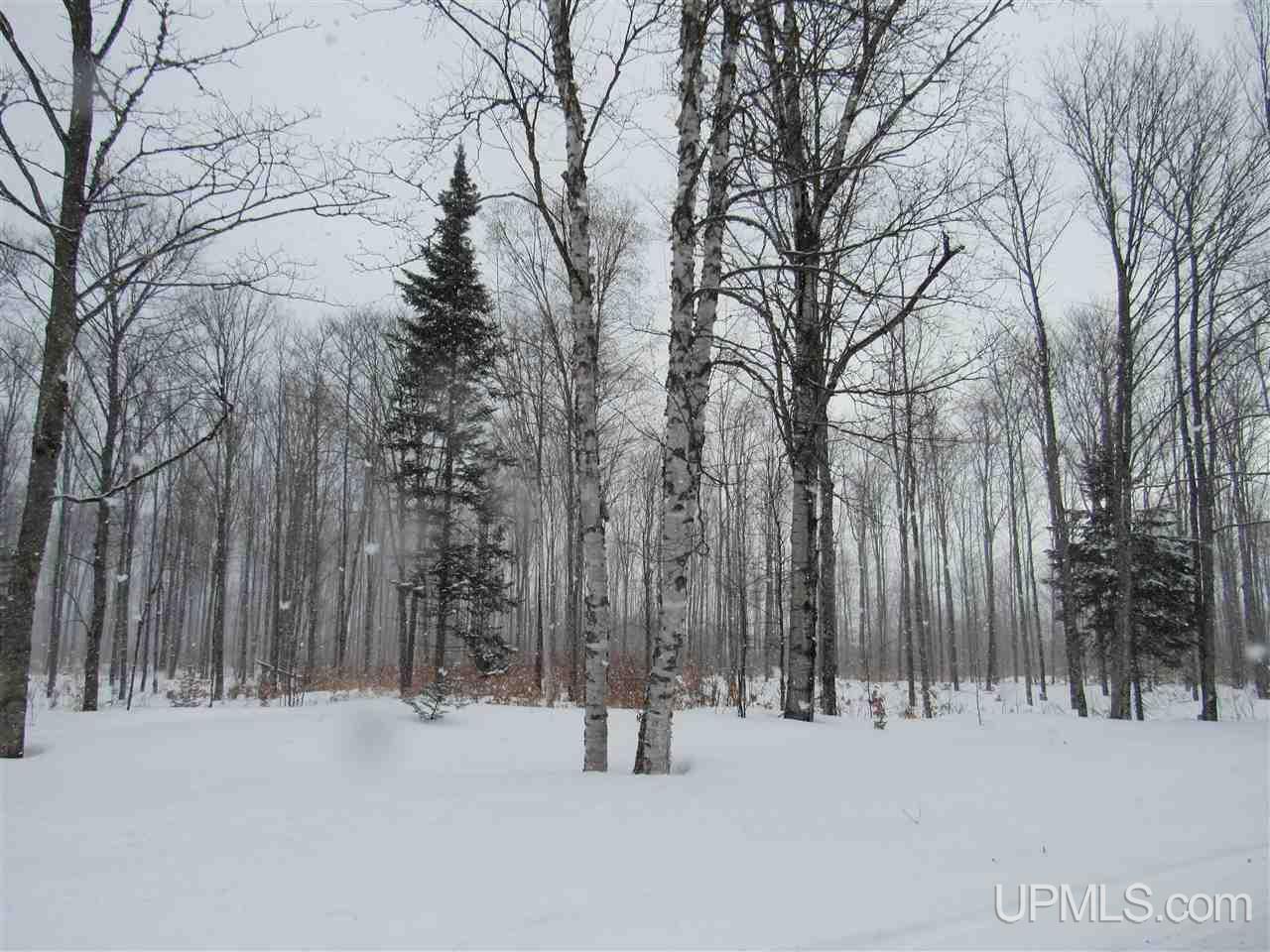 11998 Roy Wright Road Shingleton, MI 49884 - Photo 17 of 36