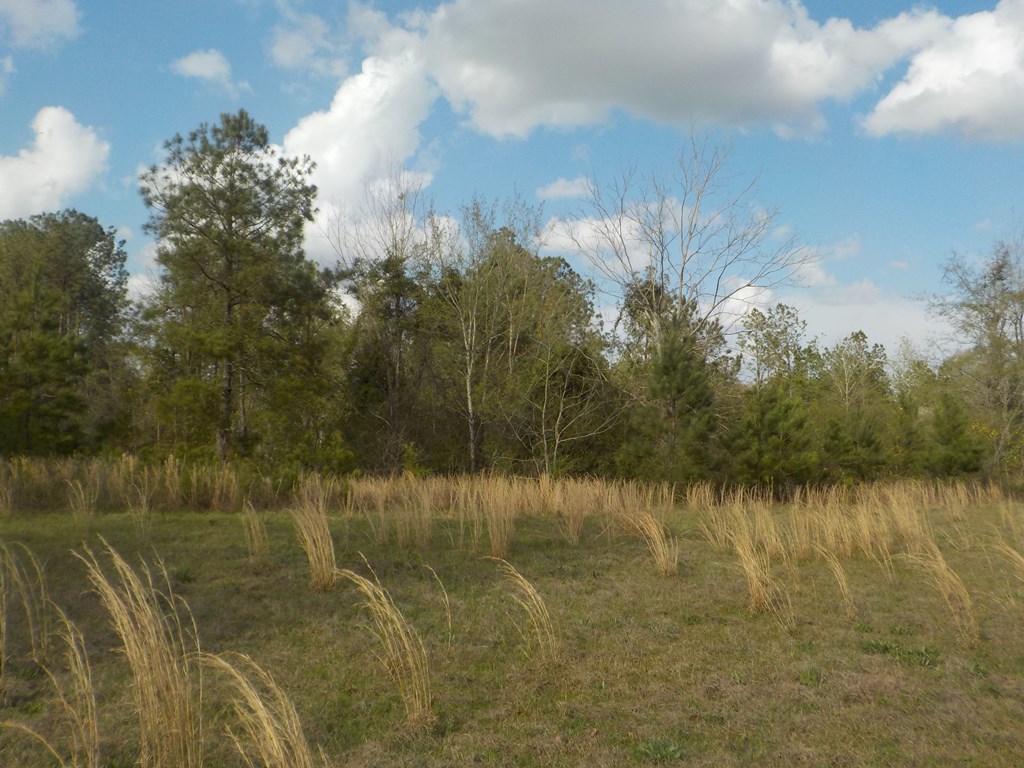 19.48-ac Cureton Road Dothan, AL 36301 - Photo 16 of 20