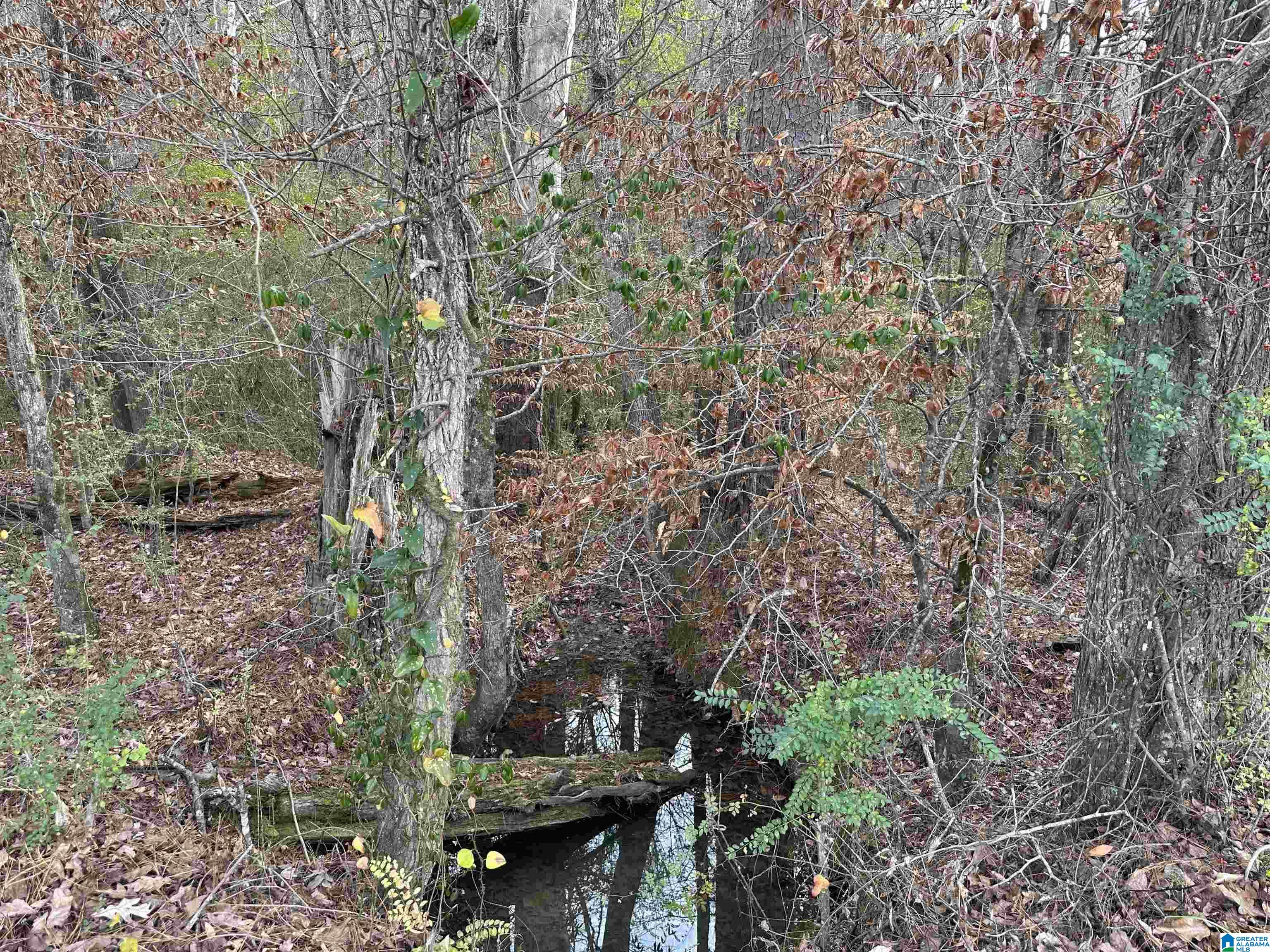 166 Warrior Robbins Road, Unit 6 4 ACRES Warrior, AL 35180 - Photo 1 of 17