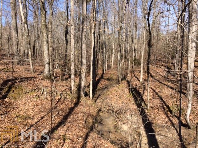 0 Lone Oak Road, Unit TRACT 1 Grantville, GA 30220 - Photo 1 of 1 Gallery Image 1