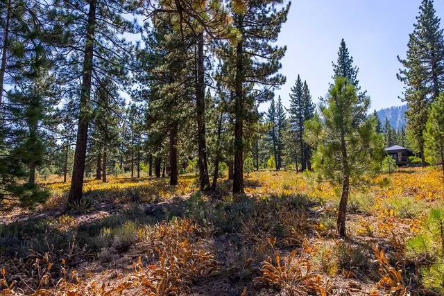 $730,000 | 720 John McKinney, Truckee, CA 96161