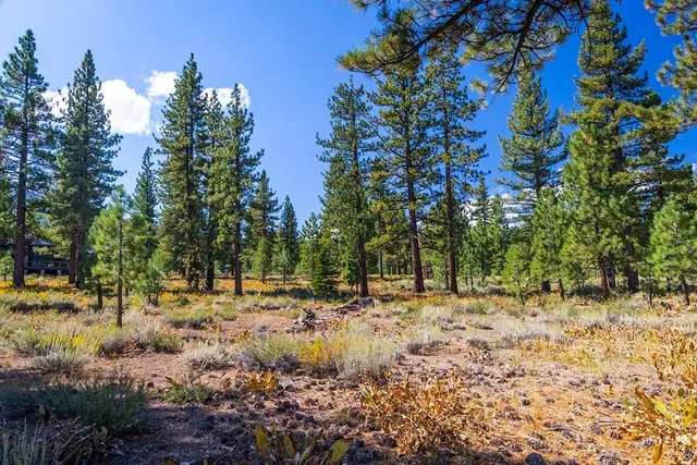 $730,000 | 720 John McKinney, Truckee, CA 96161