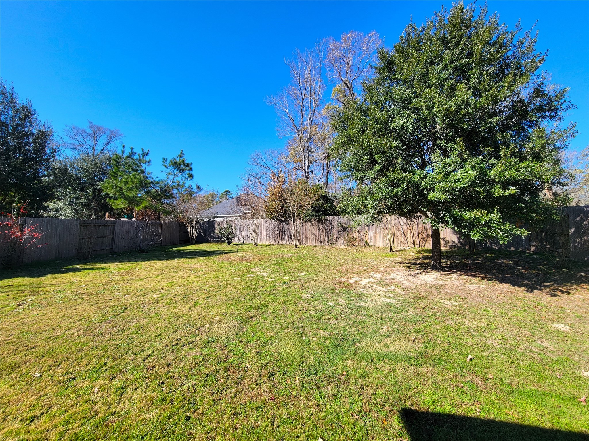 2095 Parnevik Place Conroe, TX 77304 - Photo 21 of 23 A great sized back yard. Thoughtfully planted landscaping attracts so many birds!