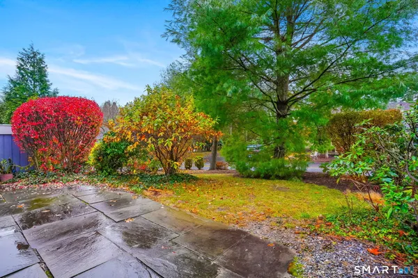 a view of a yard with an tree