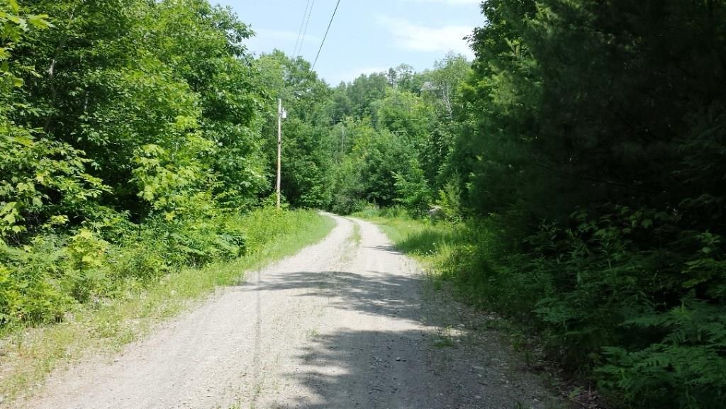 0 Poplar Knoll Road Kingfield, ME 04947 - Photo 3 of 7 Down Poplar Rd