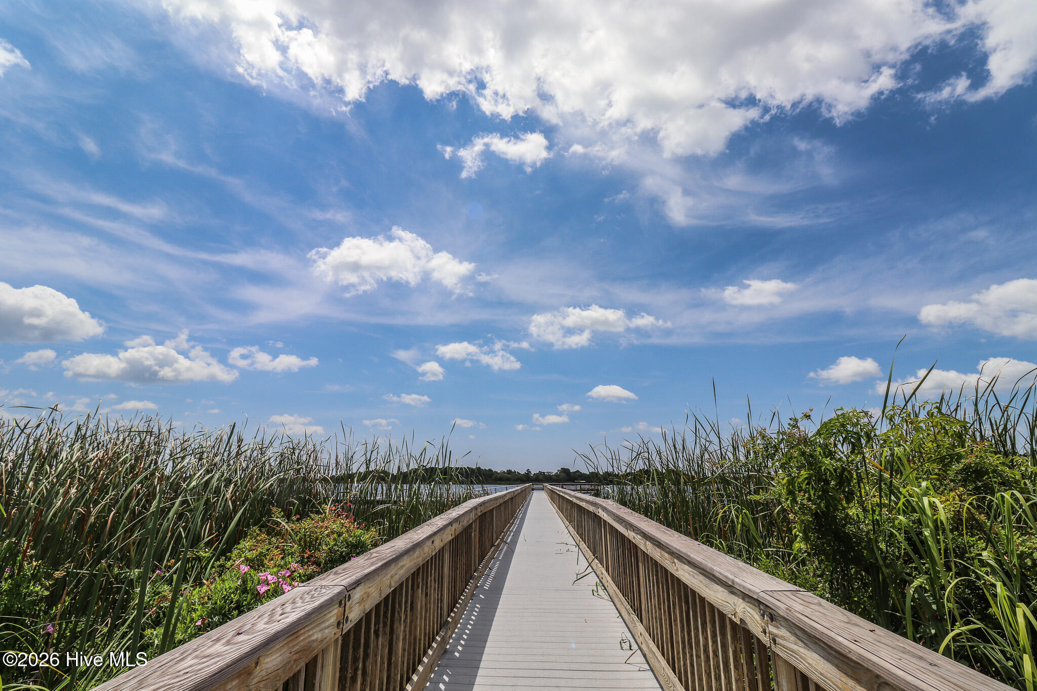 207 Everett Park Trail Holly Ridge, NC 28445 - Photo 22 of 33 IMG_8508