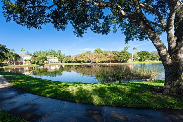 a view of lake from yard