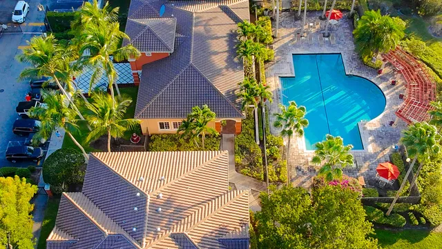 a view of a flower in a garden