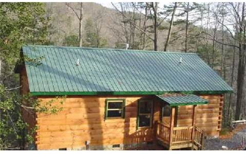 436 Chimney Rock Court Blue Ridge, GA 30513 - Photo 1 of 1 Main View