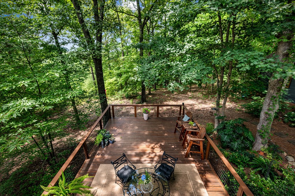 364 Bice Lane Blue Ridge, GA 30513 - Photo 50 of 54 Gallery Image 50
