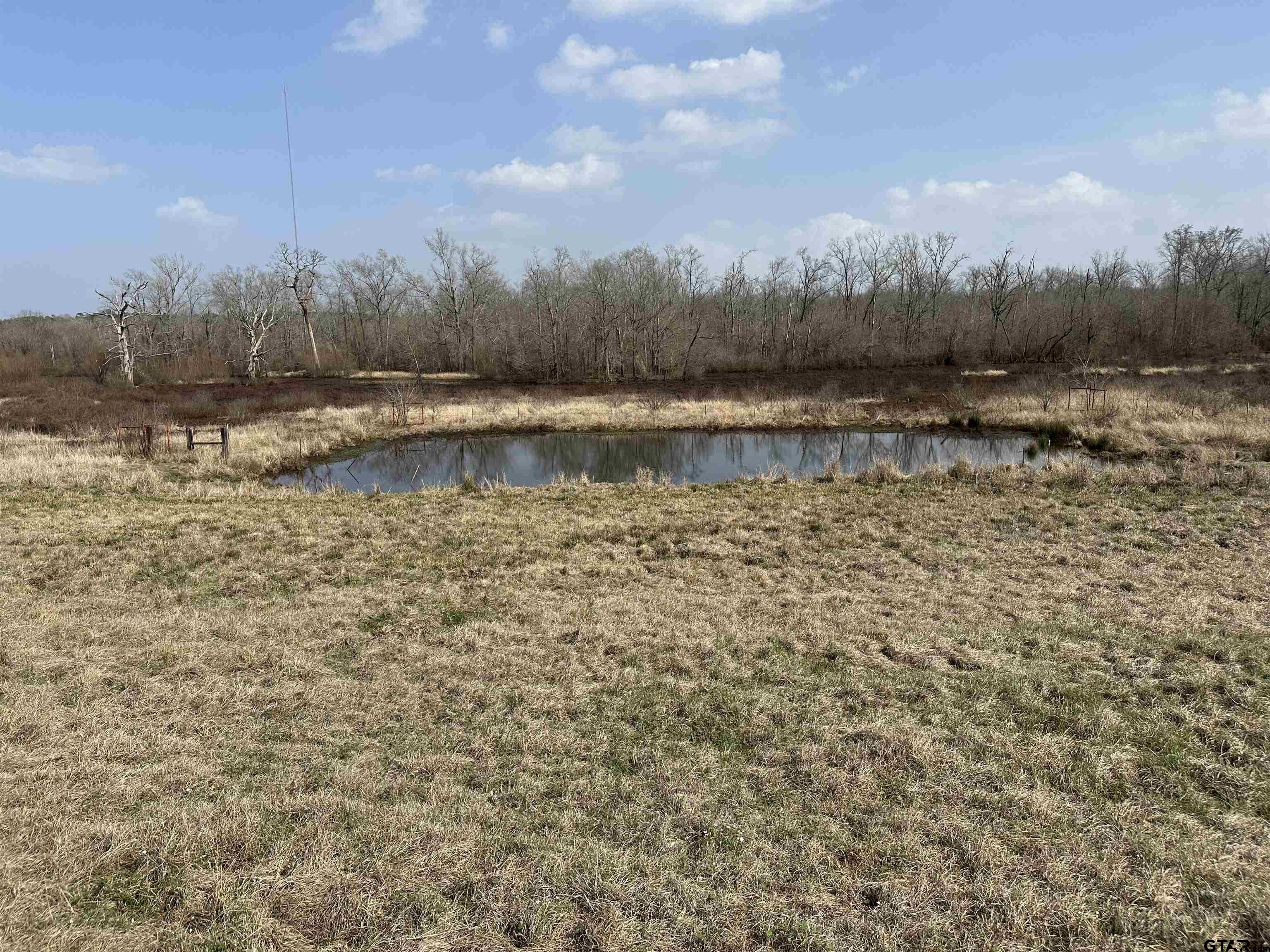 a view of lake with green space