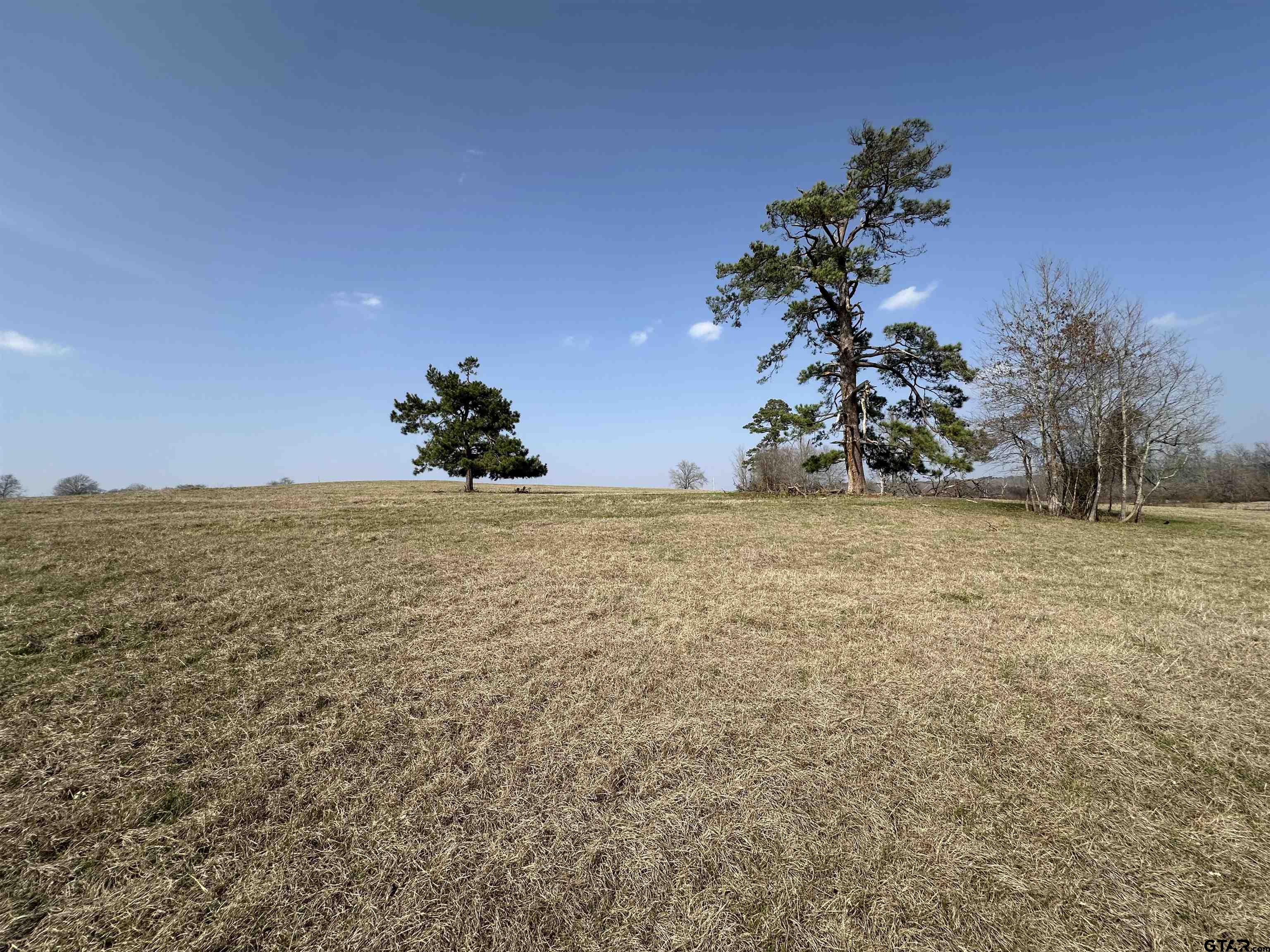 204 East St Rusk Tx 75785 Rusk, TX 75785 - Photo 18 of 20 a view of a field with a tree
